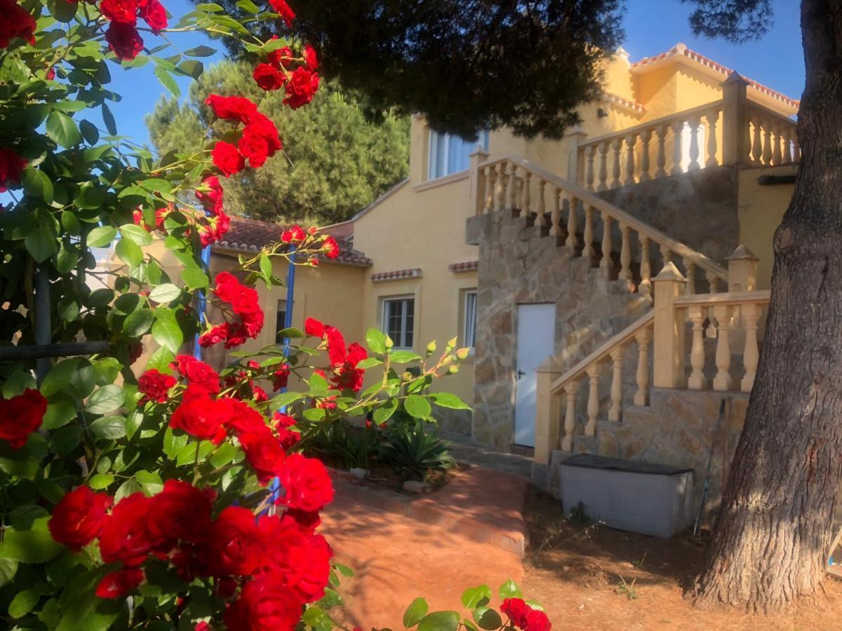Villa Eliza Dénia Eksteriør billede